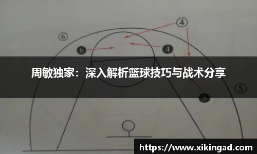 周敏独家：深入解析篮球技巧与战术分享